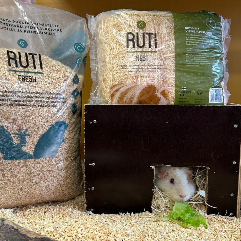 Hamsteri diasarjaan